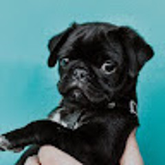 GYM MOTIVATION/TIKTOK SOUNDS