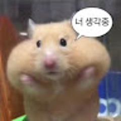 정윤아