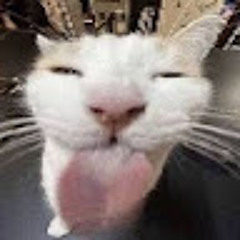Felix Silly