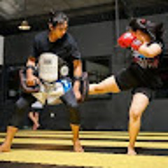 adhi soedjarwo