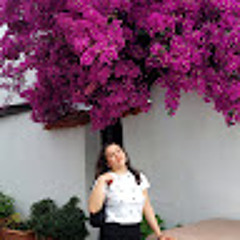 Melisa ALMA