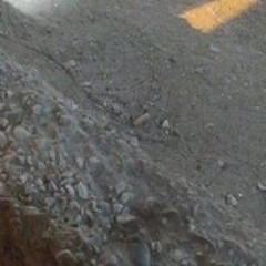 هاني ابراهيم