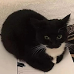 ธนวัฒน์ ดวงตา