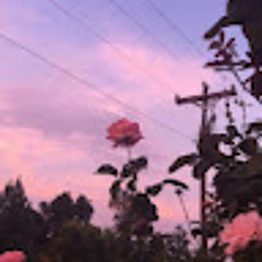 User 56150176