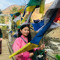Tashi Wangmo
