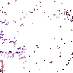 Am_29
