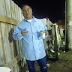 Toplion29