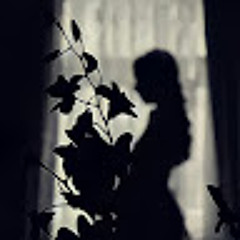 haneen ahmed zaitoon