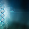 werdna