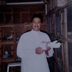 هشام احمد