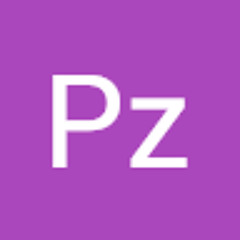 Pz Plugz