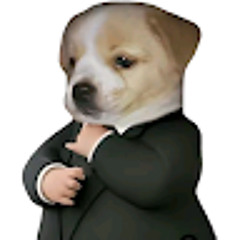 Maximiliano Ruiz Galicia