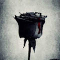 Максим Ткачук