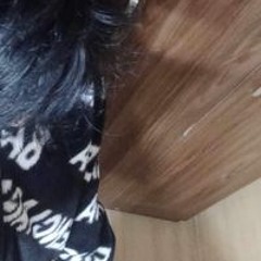 Tiến Dũng Phạm Hữu