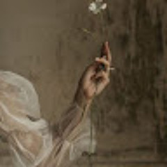 Mariam Safwat