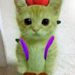 Матвей Бабенко