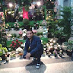 Ahmed Wagha