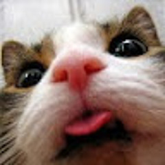 Joejoe8u