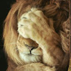 Xavier Onnevel Pinto