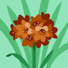 عمر التميمي