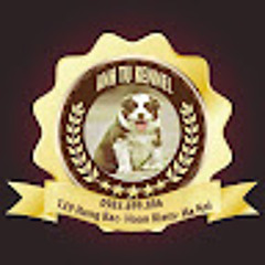 Tuong Vy Pham Thi