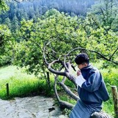 Rinchey Dor G Wangchuk