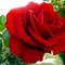User 84020785