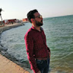 mohamed naser