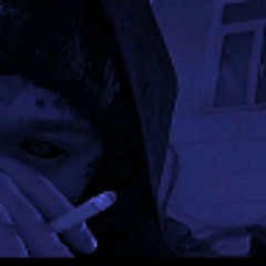Grey Shark