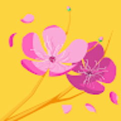 User 442212582