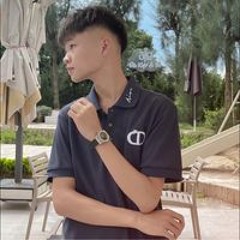 Phong Vũ