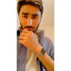 Ali Mirza
