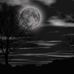 Константин Брюзгин