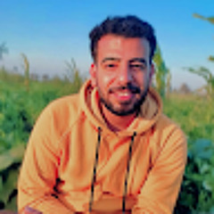 Mohamed Abdelsalam