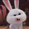 Duy Pham