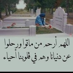محمد الحاوى