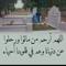 محمد الحاوى