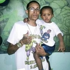 Ericles Domingos lemes