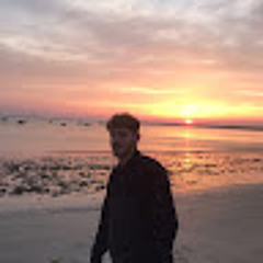 thibault sellin