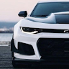 ZL1