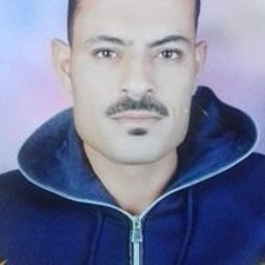 محمود محمد