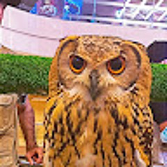Ahmed Al-Hameedi