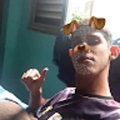 Diego Gall