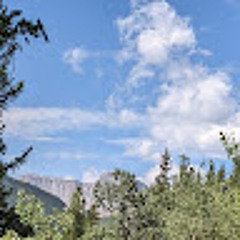 Alexanderahjohanason