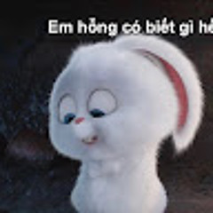 Nguyen Ho Minh Thu HCM)