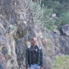 kaushik bhatt
