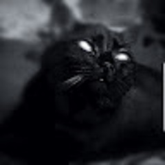 lasercat