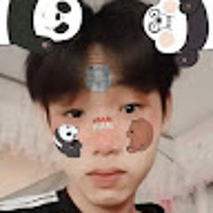 Truong2004ks