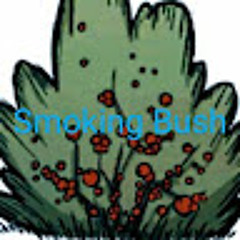 Smoking Bush