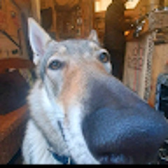 Лучши аватарка Ваще